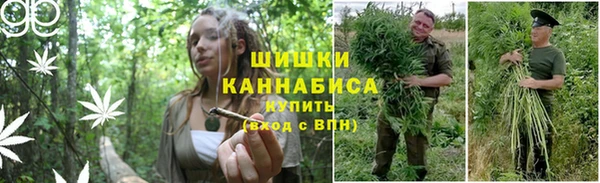 mdma Вяземский