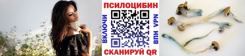 Галлюциногенные грибы прущие грибы  Юрюзань 